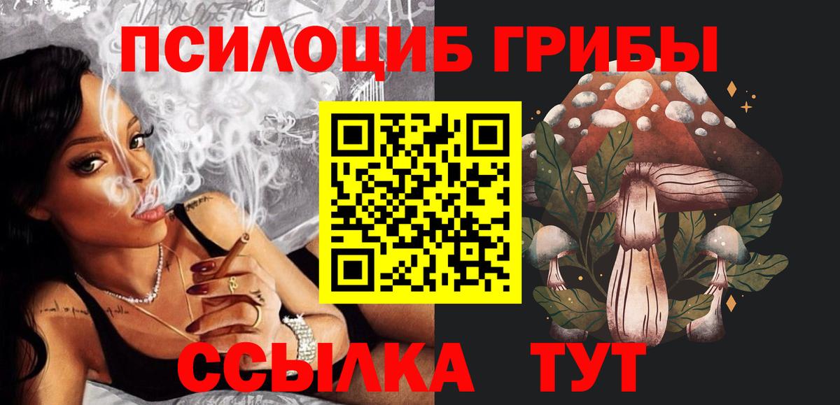 Псилоцибиновые грибы Psilocybe Гусиноозёрск